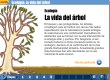 La_vida_del_&aacute;rbol
