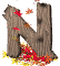 n.gif